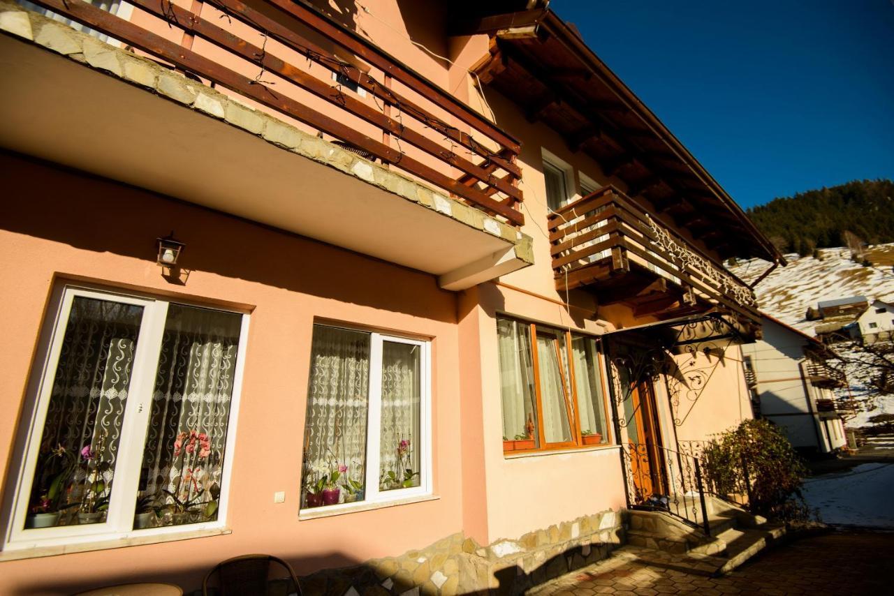 Vila Moecel Moeciu De Sus Εξωτερικό φωτογραφία